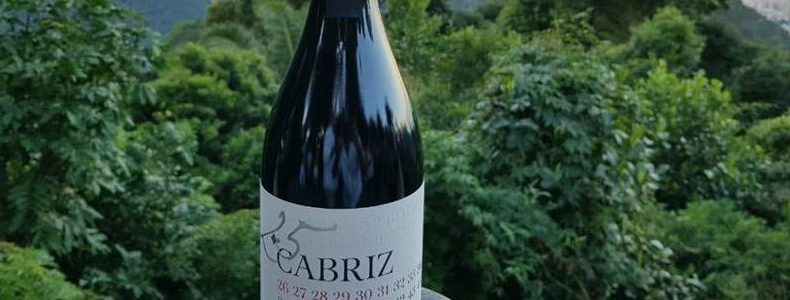 cabriz no rio de janeiro