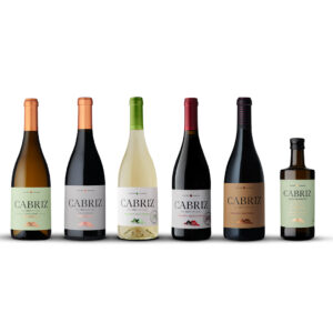 Pack Cabriz Holiday Hits. Seis garrafas de vinho Cabriz, um alinhamento de êxitos de Natal com rótulos únicos e cores vibrantes.
