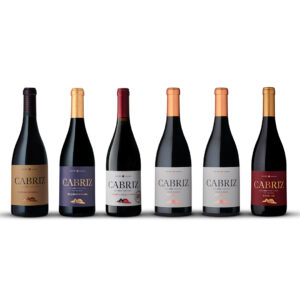 Seis garrafas de vinho Cabriz com rótulos coloridos trazem as convidativas vibrações de inverno a qualquer reunião. Pack Winter Vibes.