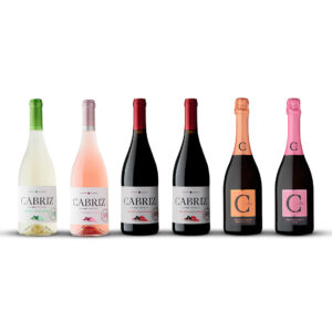 Para os descomplicados - Pack de vinhos Cabriz