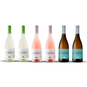 Pack vinhos do Dão Cabriz exclusivo no site. Pack Brindar aos Santos