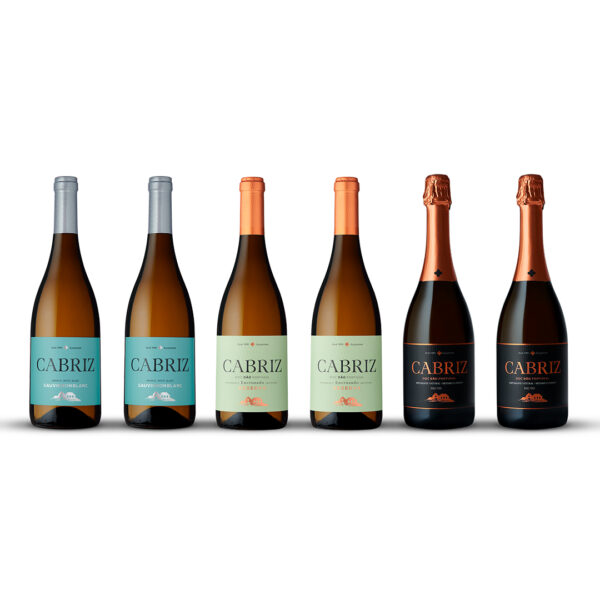 Pack vinhos do Dão Cabriz exclusivo no site. Pack Cabriz em festa