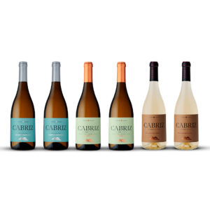 Pack vinhos do Dão Cabriz exclusivo no site. Pack É Dão Bom
