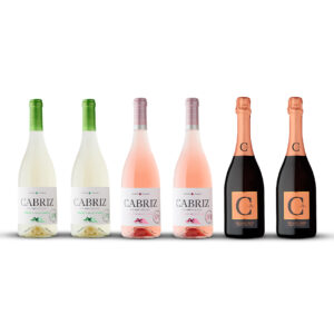 Pack vinhos do Dão Cabriz exclusivo no site. Pack Noites de Arraial
