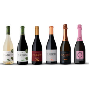 Seis garrafas sortidas no pack vinho Afterwork Cabriz, incluindo as variedades branco, tinto, espumante e rosé.