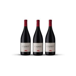 Três vinhos tintos Cabriz Magnum, perfeitos para as celebrações da Black Friday Brindes & Replay.