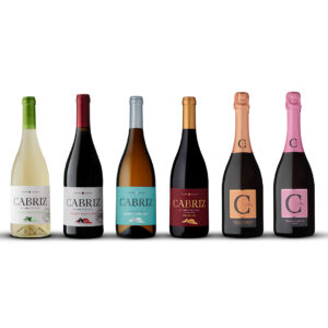 Pack Convívio & Friends: Seis garrafas de vinho Cabriz e espumante com rótulos exclusivos.