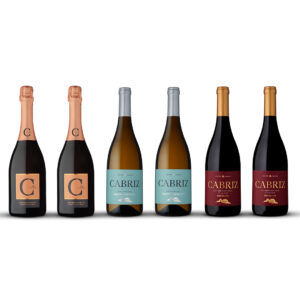 Seis garrafas de vinho no pack Happy Hallowine - espumante, branco e tinto - alinhadas numa fila.