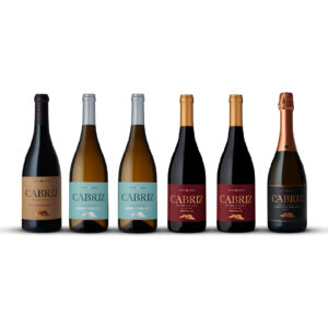 Seis garrafas de vinho Cabriz do pacote Happy Hallowine, dispostas em fila sobre um fundo branco.
