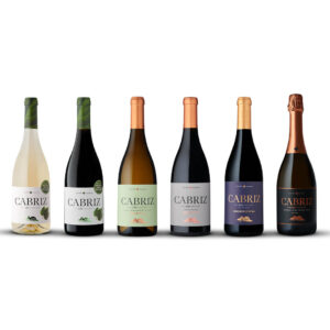 Seis garrafas variadas de vinho Cabriz alinhadas, perfeitas para um Outono entre Amigos.