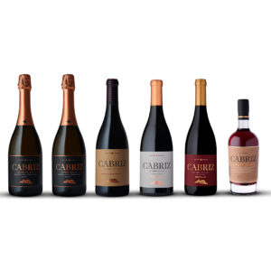 Pack Cabriz Brindes de São Martinho: seis garrafas de vinho e bebidas espirituosas sobre um fundo branco.