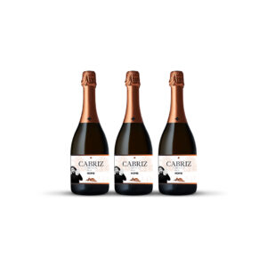 Celebre o Fim de Ano com 3 Desejos: três vinhos espumantes Cabriz sobre um fundo branco.
