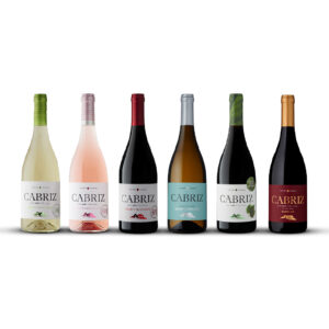Seis garrafas de vinho Cabriz da gama Pack Open Play Enjoy de Vinhos, dispostas em fila.