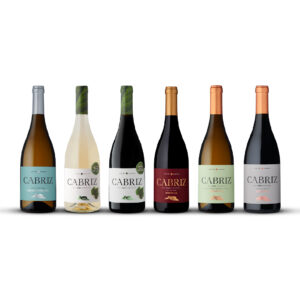 Seis garrafas de vinho Noites Misteriosas Cabriz alinhadas sobre um fundo branco.